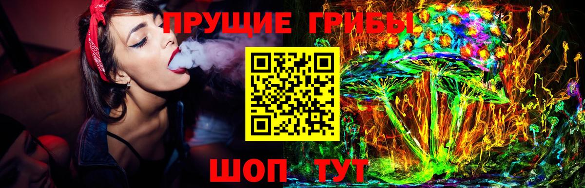 Галлюциногенные грибы Magic Shrooms  Вход с VPN  Малоярославец  Галлюциногенные грибы Psilocybe 